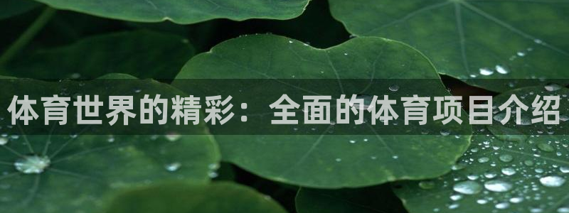 星欧娱乐扣款时间查询方法是什么