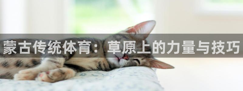 星欧娱乐公司怎么样