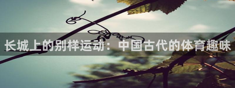 星欧娱乐属于什么档次的网站