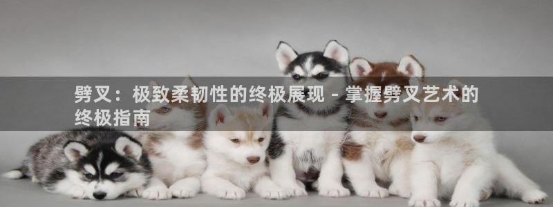 星欧娱乐平台测速线路怎么设置