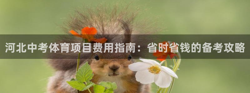 星欧娱乐24小时客服电话