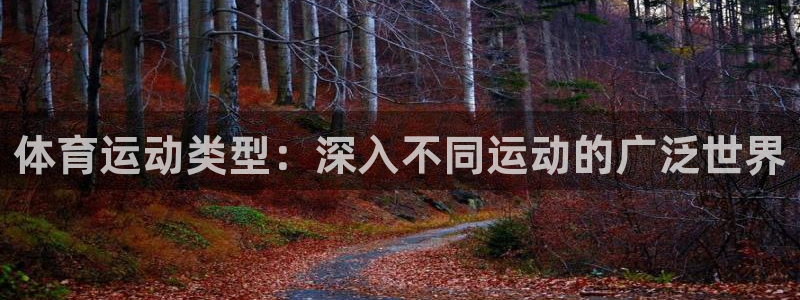 星欧娱乐最建议买的三个产品