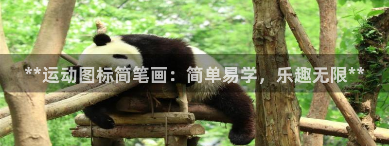 星欧娱乐app最新版本更新内容
