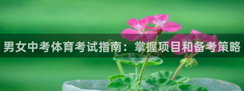 星欧娱乐扣费处理方法