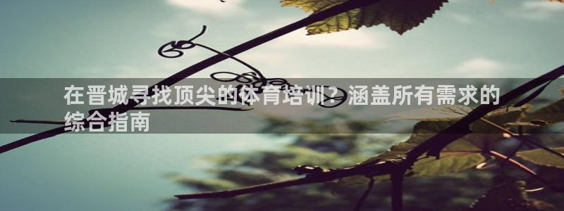 星欧娱乐退款流程详解