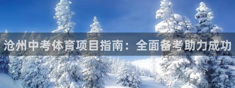 星欧娱乐联售后服务评价