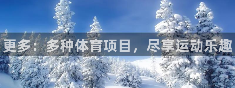 星欧娱乐最建议买的三个游戏账号