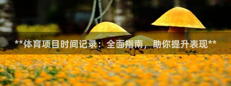 星欧娱乐的创始人背景故事介绍