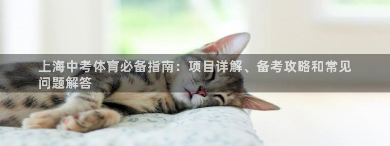 星欧娱乐彩票软件下载安卓