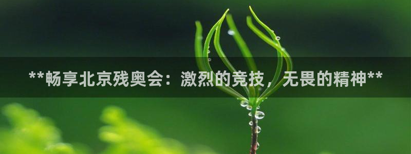 星欧娱乐扣款时间查询方法