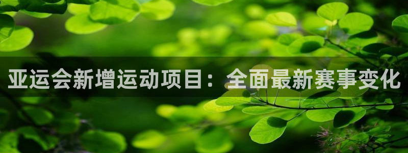 星欧娱乐最建议买的三个产品是什么