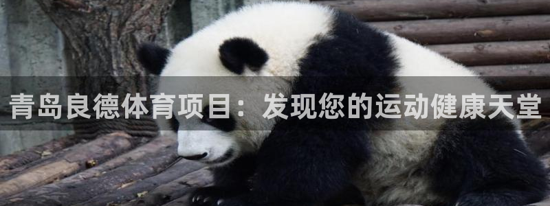 星欧娱乐平台告7O777