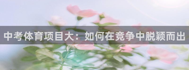 星欧娱乐挂机教程