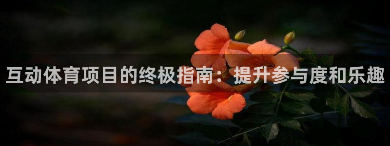 星欧娱乐平台