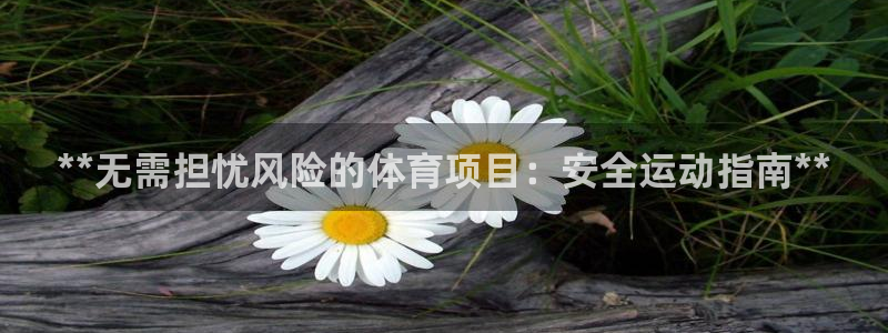 星娱乐文化传媒有限公司