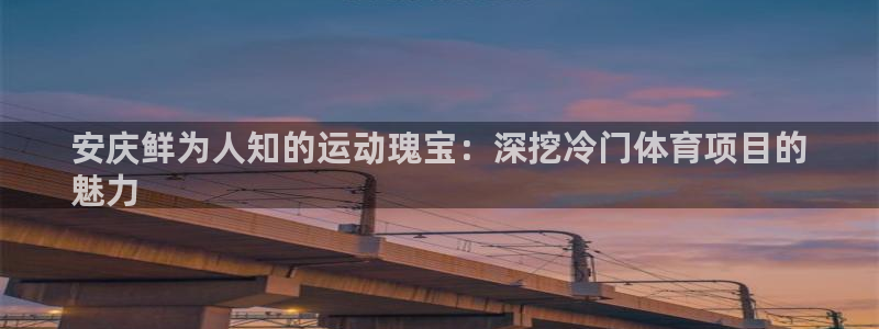 星欧娱乐app最新版本更新内容是什么