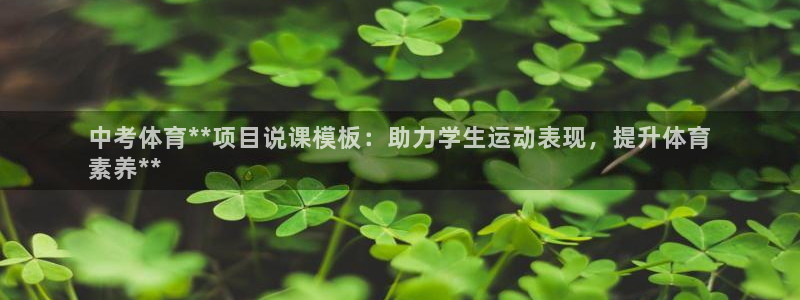 澳星国际娱乐集团