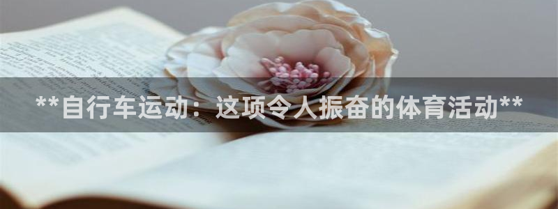 星欧娱乐公司怎么样