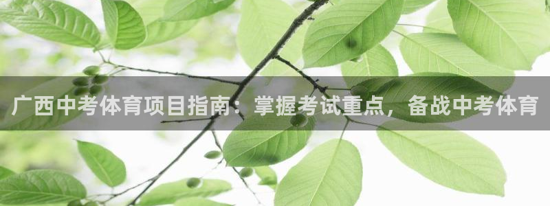 星欧娱乐最建议买的三个游戏