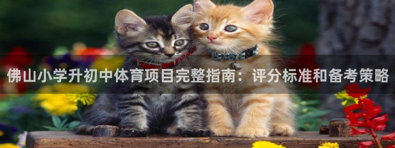 星欧娱乐是正规平台吗知乎推荐