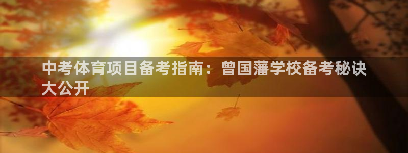 星欧娱乐公司