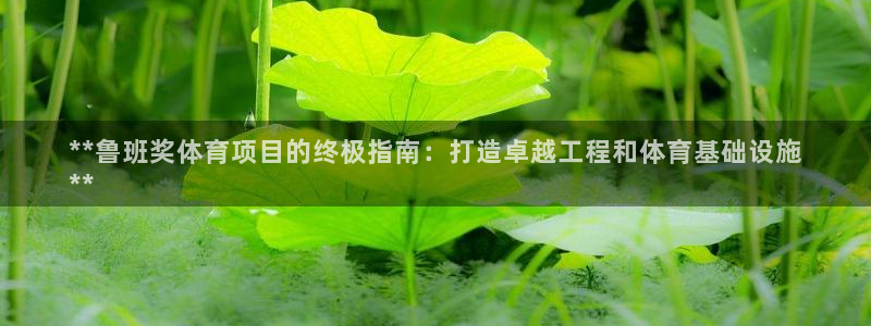 星欧娱乐官网下载安卓