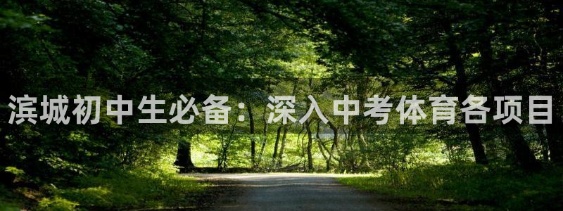 星欧娱乐属于什么档次的网站