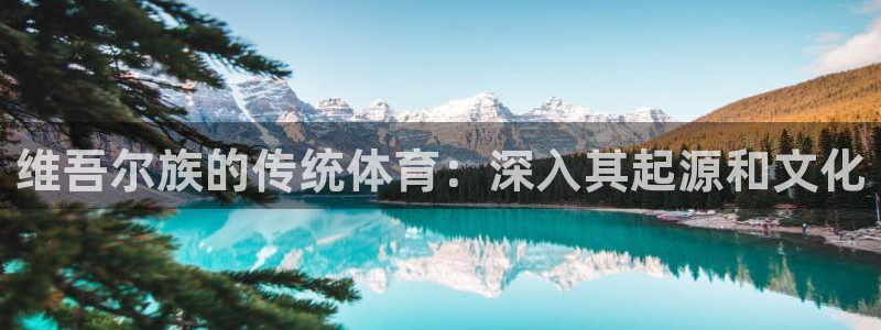 星欧娱乐扣款流程详解视频教程