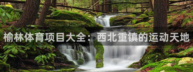 星欧娱乐彩票软件下载安卓