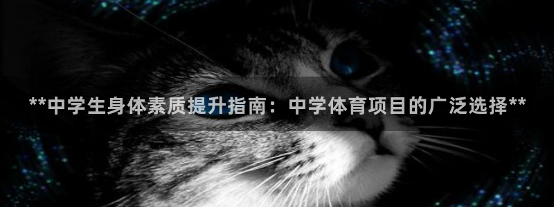 星欧娱乐属于什么档次