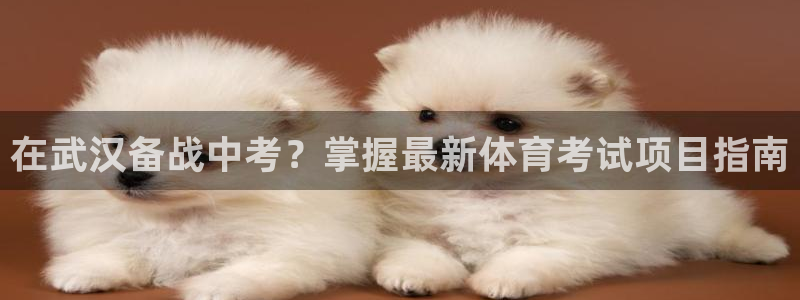 星欧娱乐