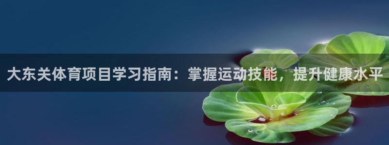星欧娱乐扣款流程详解