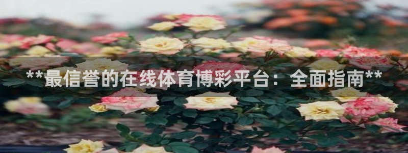 江苏星奥娱乐有限公司怎么样