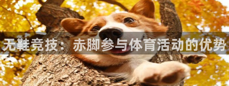 星欧娱乐是正规平台吗知乎推荐