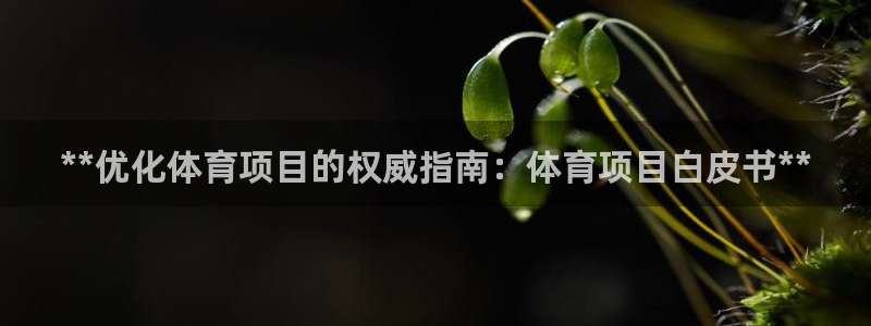 星娱乐是谁的公司