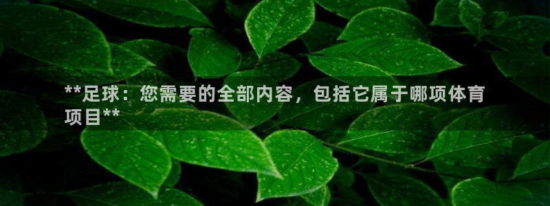 星娱乐online张译