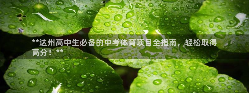 星欧娱乐的创始人背景故事是什么