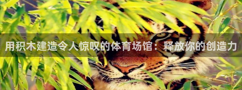星欧娱乐官网下载安卓
