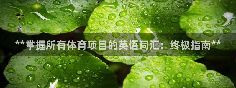 星欧娱乐属于什么档次的公司名称