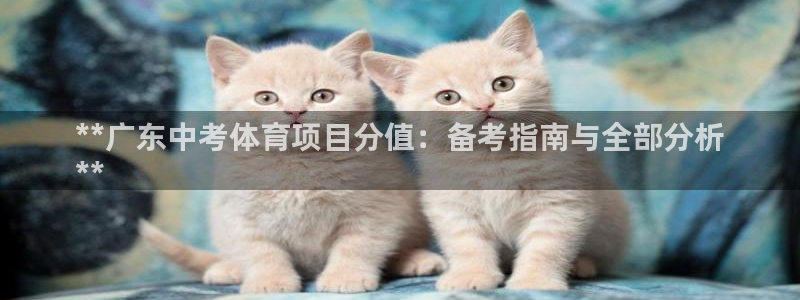 星欧娱乐平台告7O777