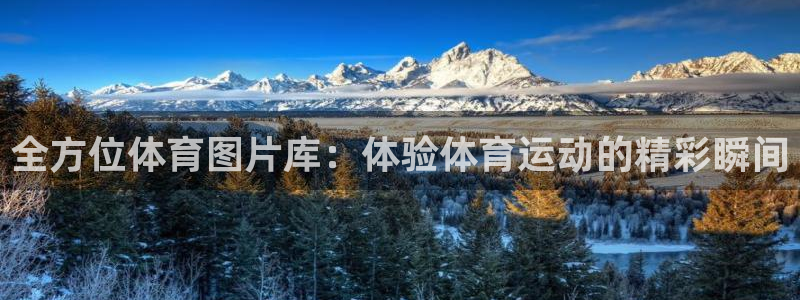 星娱乐online音乐