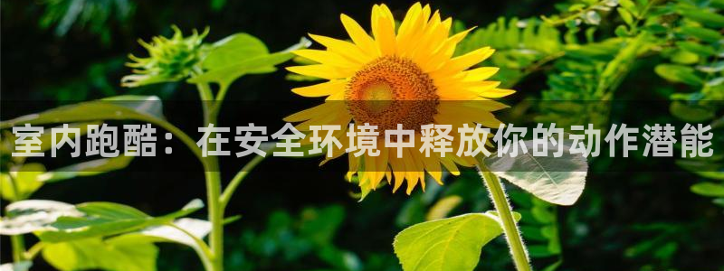星欧娱乐最建议买的三个产品有哪些呢