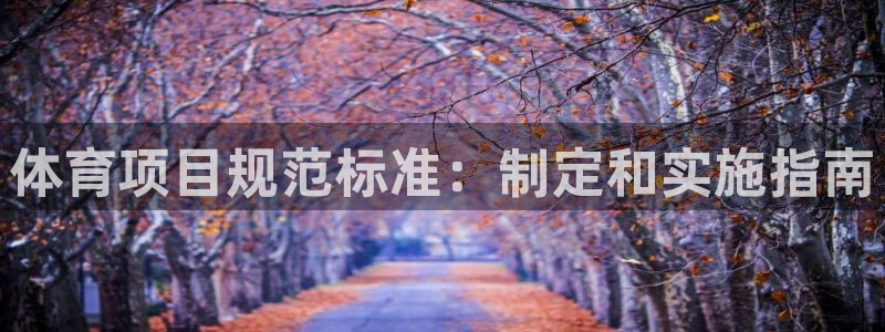 星欧娱乐公司