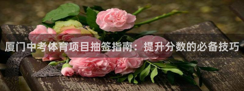 星欧娱乐平台怎么样啊可靠吗