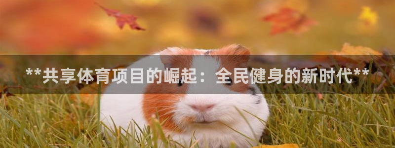 星欧娱乐扣费后解决方法
