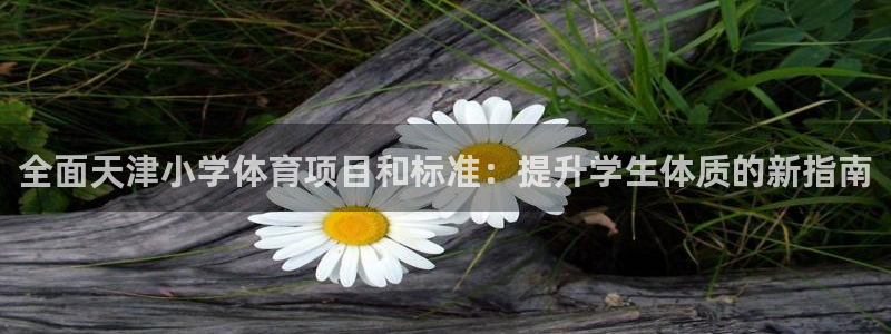 星欧娱乐扣款流程详解图片