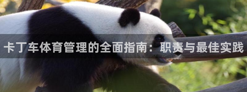 星奥娱乐艺人