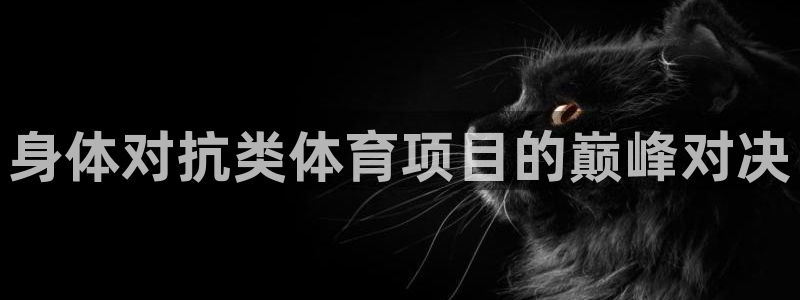 星欧娱乐是什么品牌