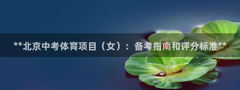 星欧娱乐公司创始人背景故事