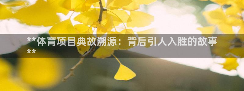 星欧娱乐扣款时间查询方法怎么查